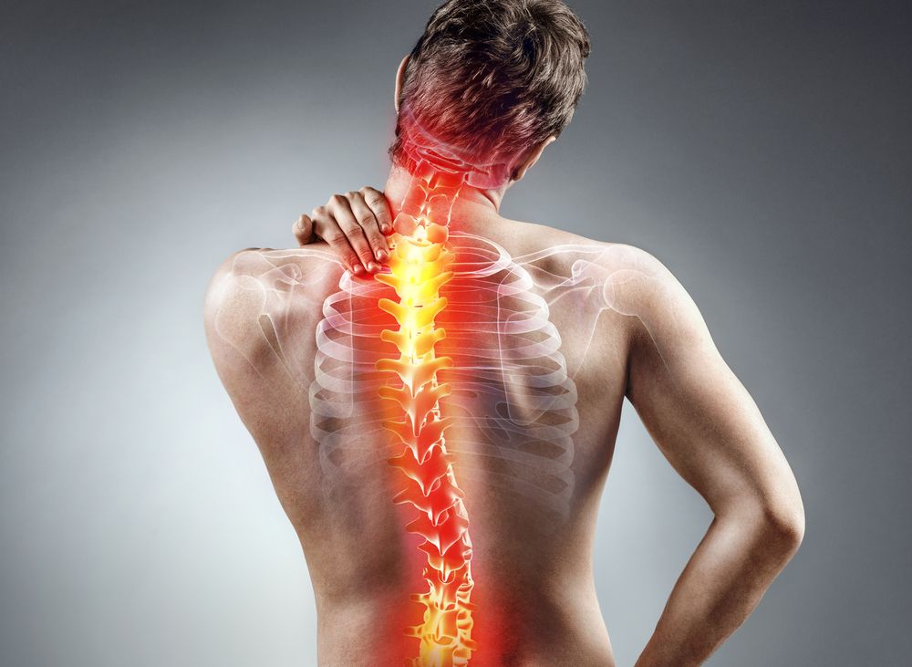 Back pain: symptoms, causes and treatment