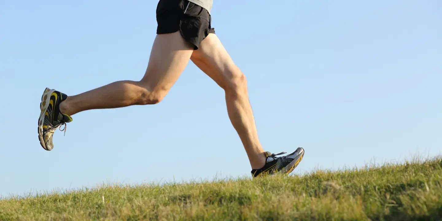 Shutterstock 166690622