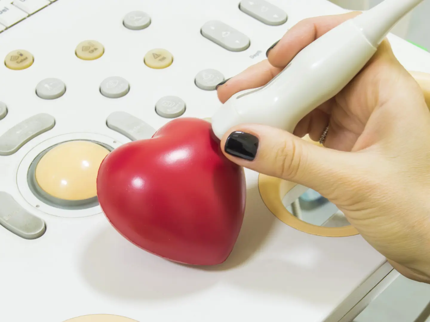 Echo Heart Scan (2)