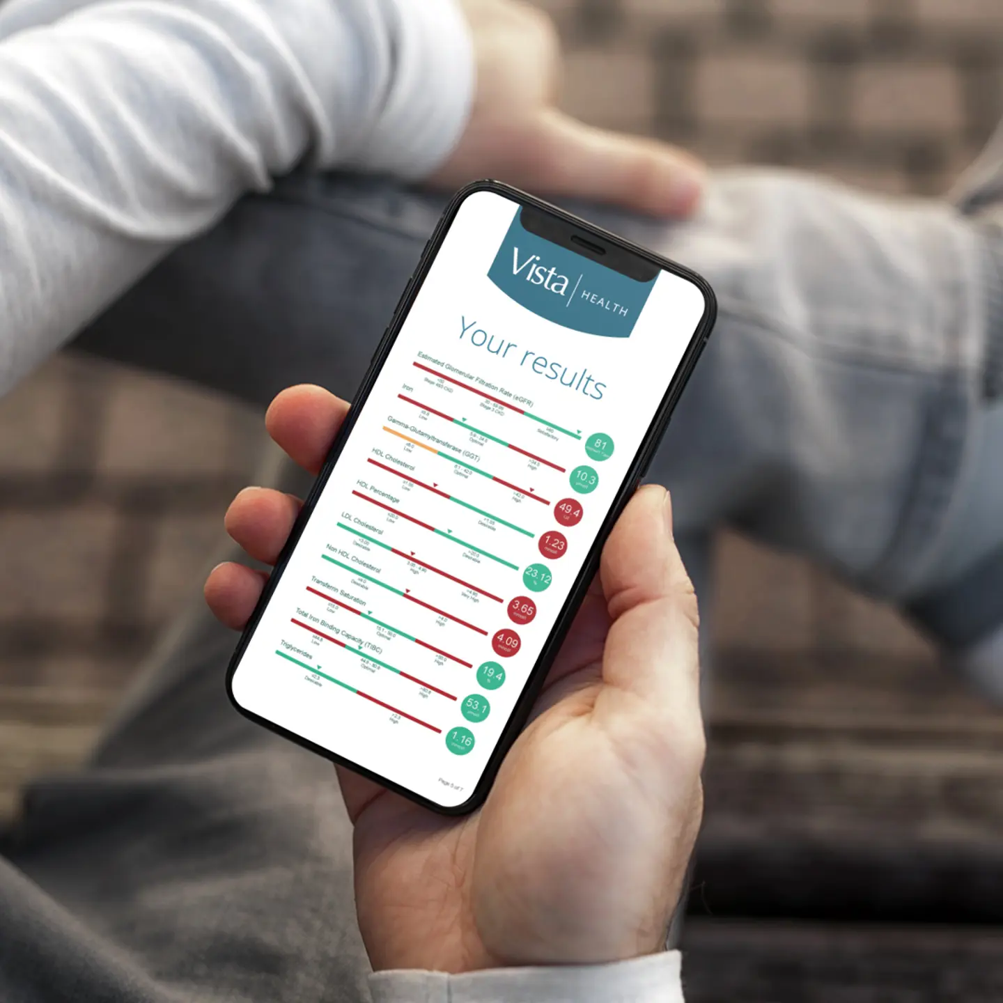 Vista Results Mobile Mock Up 2